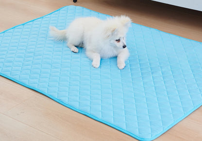 Perro pequeño descansando sobre la alfombra refrescante celeste en el piso