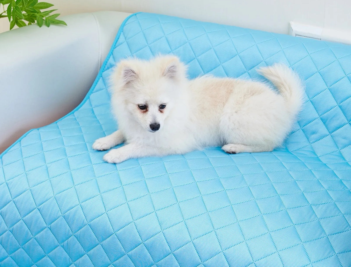 Perro echado sobre la alfombra refrescante en el sofá