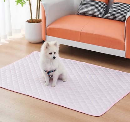 Perro sentado sobre la alfombra refrescante rosa en el living